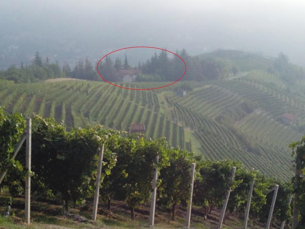 Gasthaus Casa Badinot Diano dʼAlba Zimmer foto