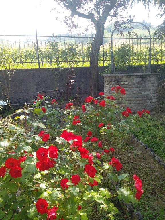 Gasthaus Casa Badinot Diano dʼAlba Zimmer foto