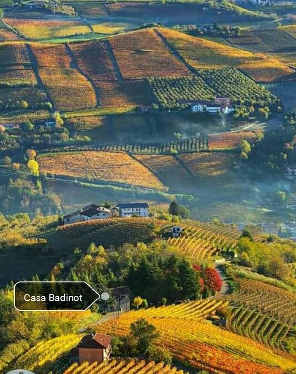 Gasthaus Casa Badinot Diano dʼAlba Exterior foto